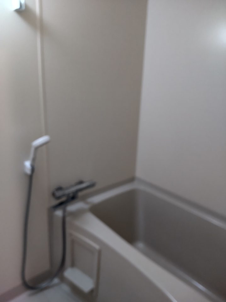 【金池Ⅲ 5-2-2号室】バスルーム